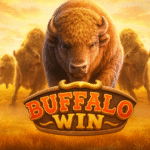 game Buffalo Win